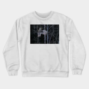 Hover - Great Grey Owl Crewneck Sweatshirt